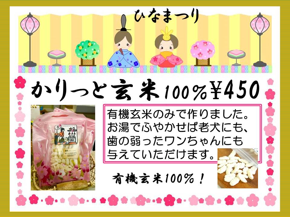 おやつ 青山ケンネル