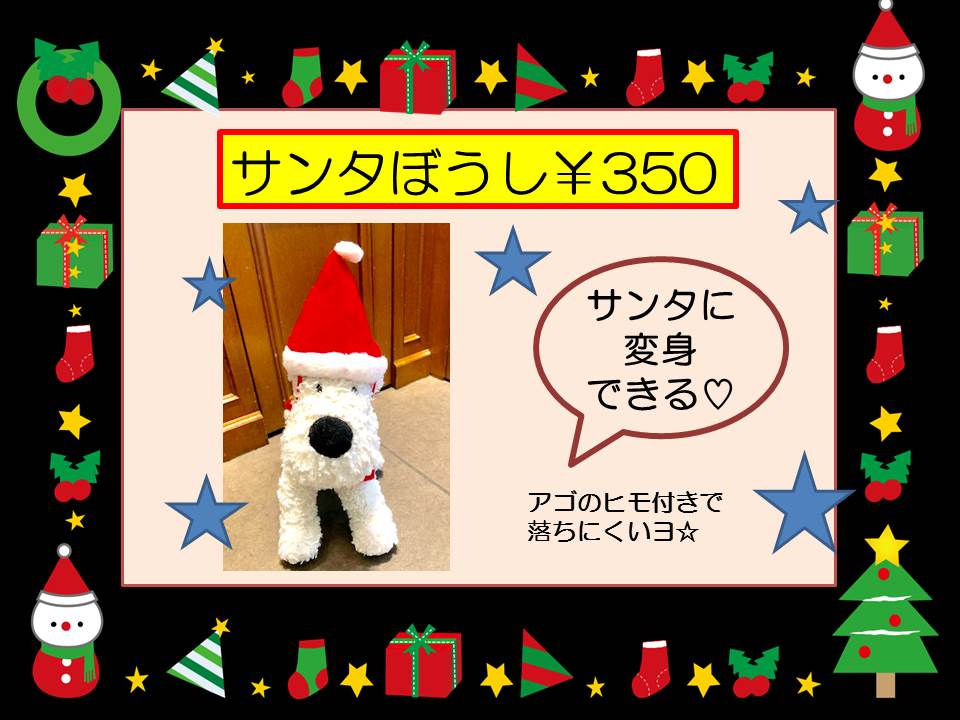 犬用 サンタクロース帽子 販売中 青山ケンネル