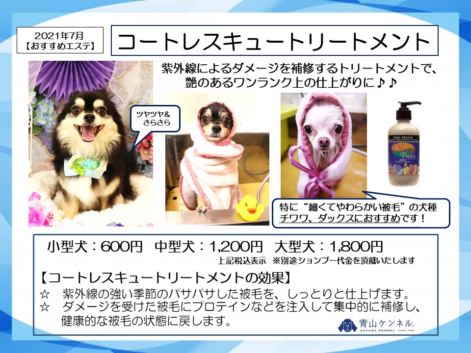 21年7月おすすめ コートレスキュートリートメント 青山ケンネル