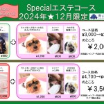 ★12月限定・スペシャルエステコース★