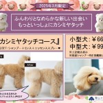 ★2025年３月限定『カシミヤタッチコース』★