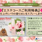 ♥2025年5月・エステコースご利用特典♥