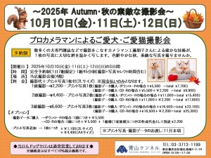 2025年10月撮影会チラシ