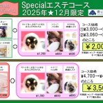 ★12月限定・スペシャルエステコース★