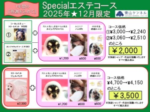 2025年12月特別エステコース