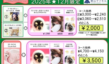 ★12月限定・スペシャルエステコース★