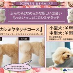 ★2026年1月おすすめ『カシミヤタッチコース』★