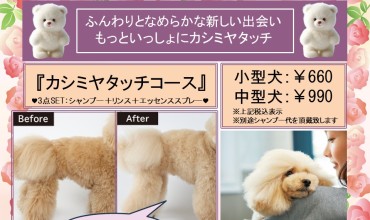 ★2026年1月おすすめ『カシミヤタッチコース』★