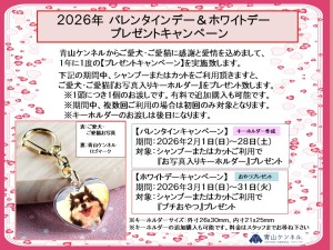 2026年2月3月バレンタインキャンペーン