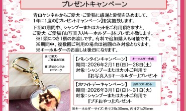 【2月3月・プレゼントキャンペーンのご案内】