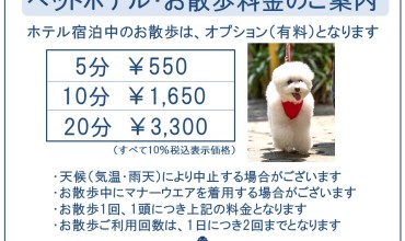 ★ペットホテル・お散歩料金のご案内★