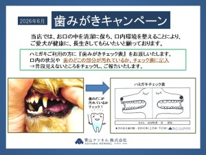 2026年6月ハミガキキャンペーン