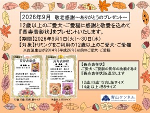 2026年9月シニア特典チラシ